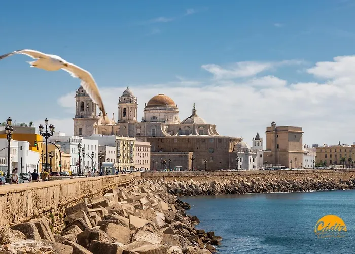 La Luz De La Vina - By Time