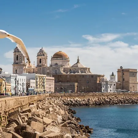 La Luz De La Vina - Free Parking By Time