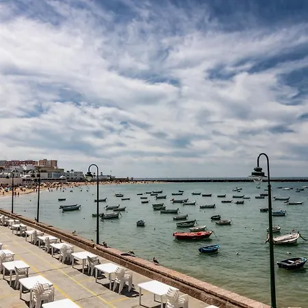 La Luz De La Vina - Free Parking By Time